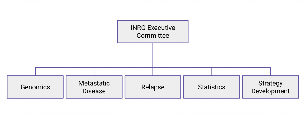 Organizational Chart showing committees for Genomics, Metastatic Disease, Relapse, Statistics, and Strategy Development reporting to INRG Executive Committee