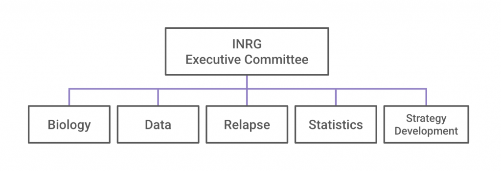 INRG Committee chart showing INRG Executive Committee on the first line and the Biology, Data, Relapse, Statistics, and Strategy Development committees on the second line.